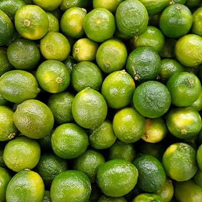 10月20日免费节点分享|21.8M/S，Clash节点/Singbox节点/SSR节点/V2ray节点|免费上网梯子每天更新